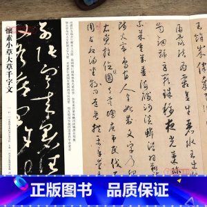 [正版]学海轩怀素小草大草千字文031 哑光平铺繁体旁注传世书法碑帖怀素草书原碑原帖毛笔临摹字帖墨迹碑帖中国画院书法篆