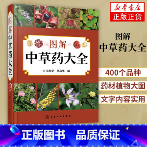 [正版]图解中草药大全 中医入门中草药大全书籍药材植物彩图中药大全 中医养生保健大全中草药识别百科全书 本草纲目中草药