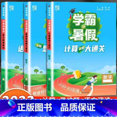 阅读集训+计算+思维题大通关 小学二年级 [正版]2023小学学霸暑假衔接作业一升二升三升四五六下册一年级二年级预科班课