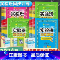 语文-人教版 四年级下 [正版]2024春实验班提优训练三年级下册一年级二年级四年级五六年级上册下册语文数学英语人教版苏