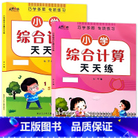 全2册-上册+下册 小学数学综合计算天天练 小学二年级 [正版]小学生一二三年级上册下册列竖式计算口算题卡天天练每天10