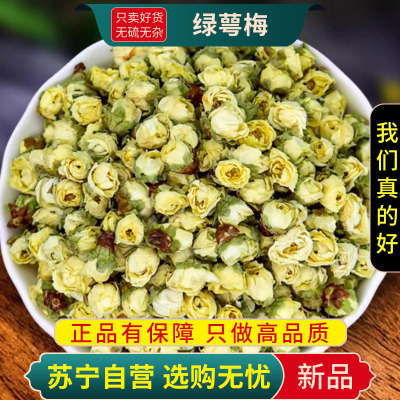 甄选绿萼梅茶100克正品白梅花玫瑰花干茶泡水喝绿鄂梅鳄官方店煮水泡茶