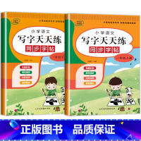 写字天天练(上册+下册) 一年级下 [正版]一年级下册练字帖每日一练同步字帖练字同步人教版 小学语文笔画笔顺拼音生字识字