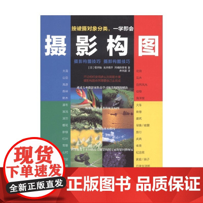 摄影构图技巧 樱井始等 著 摄影