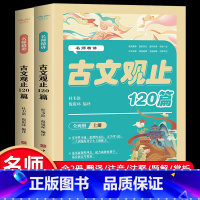 [全2册]名师精讲古文观止120篇 [正版]名师精讲古文观止120篇全套2册无障碍阅读 翻译注音注释题解赏析古文观止小学