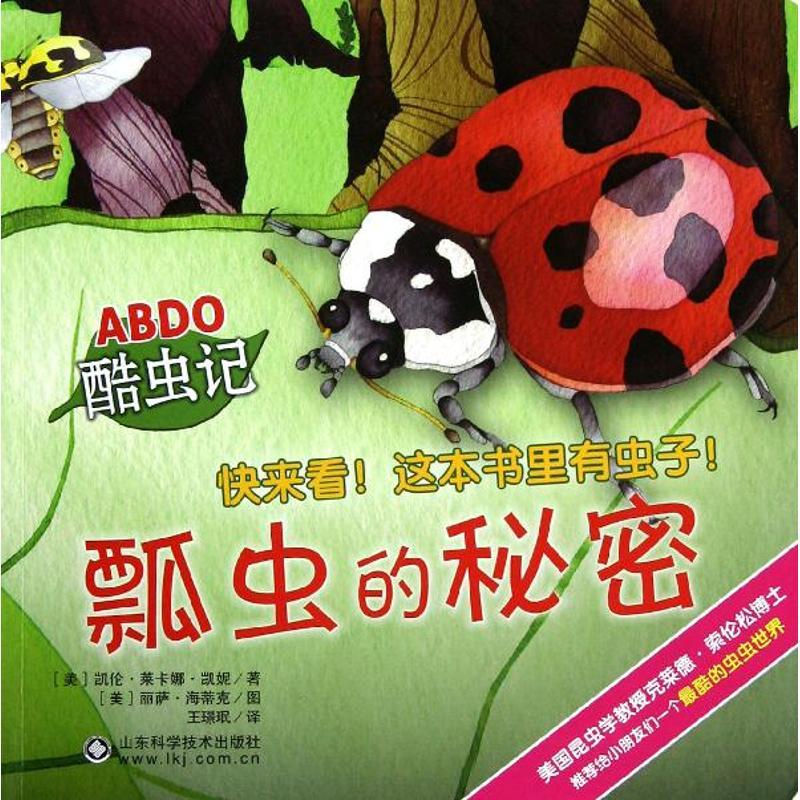 正版新书]瓢虫的秘密/ABDO酷虫记(美)凯伦?莱卡娜?凯妮9787533