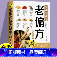 [单册]很老很老的老偏方精选图典 [正版]很老很老的老偏方精选图典中国土单方小小的单方治大病老偏方经验方大全药材食材方剂