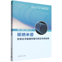 正版新书]碳纳米管在电化学能源存储与转化中的应用杨植,肖逵逵,