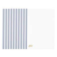 齐心 Q310-1 超省钱报告夹抽杆式 A4 10个/套 白色