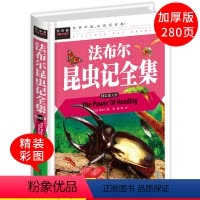 [精装硬壳]法布尔昆虫记全集 [正版]昆虫记法布尔原著完整版三年级必读的课外书四五六年级老师读物6-12岁小学生课外阅读