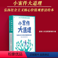 [正版]2023新版小案件大道理 弘扬社会主义核心价值观普法绘本 人民法院新闻局 时事热点案件司法裁判指引实务普法书籍