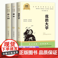全套3册高尔基自传体三部曲 童年+我的大学+在人间 初中生七八九年级课外阅读书籍青少年世界名著外国小说 世界经典文学名著