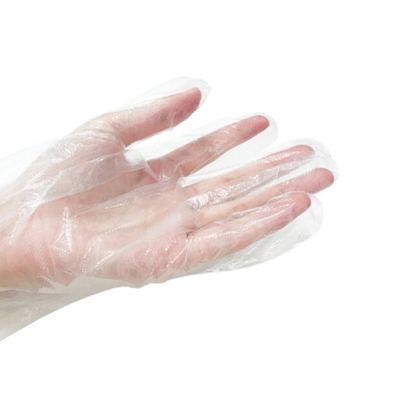 炯毅 一次性手套食品餐饮小龙虾透明塑料加厚级耐用 一次性手套100支/包