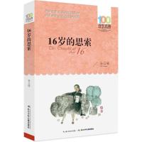 16岁的思索