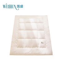 围盛 纯棉软垫 150*200*3cm-4斤白 张