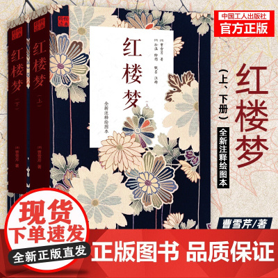 红楼梦(上下册)曹雪芹著 中国历史文学小说 四大名著经典历史故事书籍