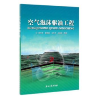 音像空气泡沫驱油工程杨怀军等著