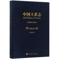 音像中国土系志王天巍 著