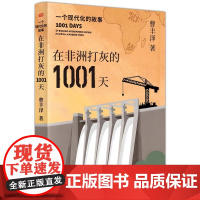 在非洲打灰的1001天:一个现代化的故事 曹丰泽 东方出版社 9787520742054