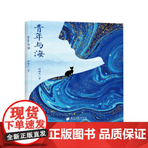 青年与海