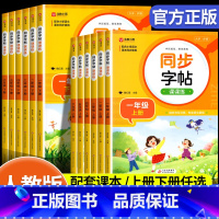 [上册+下册]语文同步字帖课课练 小学六年级 [正版]一二三四五六年级下册语文同步字帖练字帖课课练小学生练字本练字本人教