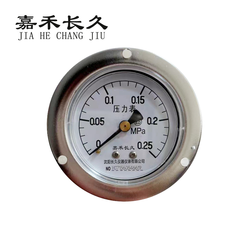 嘉禾长久+轴向带边压力表检测定制型+Y60ZT+块