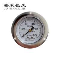 嘉禾长久+轴向带边压力表检测定制型+Y60ZT+块