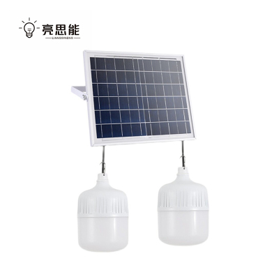 亮思能 太阳能灯泡照明灯一拖二200W LSN-TYP 个