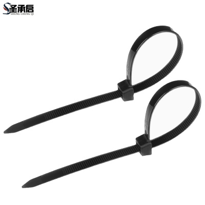 圣承启 塑料扎带 3*100mm根