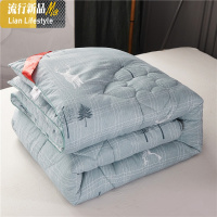 被子棉夏被空调被双人春秋被加厚保暖冬被棉被单人学生宿舍被芯 三维工匠
