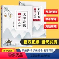 [3本]初中必背文学常识+同步练习+文言文完全解读 初中通用 [正版]易蓓初中生必背文学常识七八九年级通用版初中名著导读