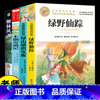 [全4册]三年级课外阅读 [正版]绿野仙踪+绿山墙的安妮+柳林风声+木偶奇遇记 小学生课外阅读书籍三四年级必读彩图原著老