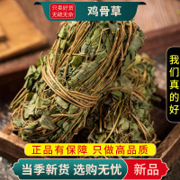 甄选鸡骨草100克干货新货大黄草干货新货正品鸡骨草9260