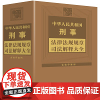 2024年版 中华人民共和国刑事法律法规规章司法解释大全 第8版 中国法制出版社 9787521645927