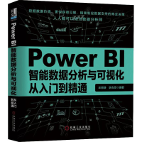 音像Power BI智能数据分析与可视化从入门到精通牟恩静,李杰臣