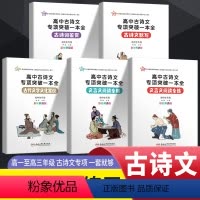 五本套装 高中通用 [正版]新 高中古诗文专项突破一本全 彩色升级版 古诗词鉴赏 古诗文默写 古代文学文化常识 文言文阅