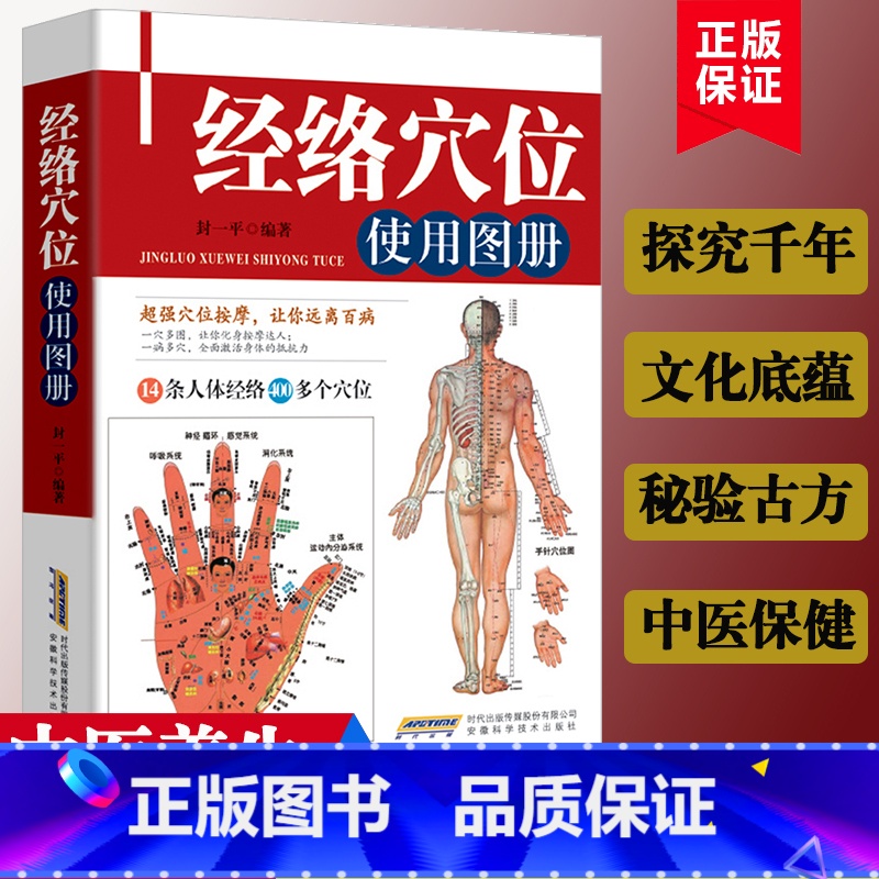 [正版]人体经络穴位使用图册 中医养生书美容美体艾灸推拿人体穴位书 针灸养生手法筋络图书 人体经络图穴位定位防病治病详