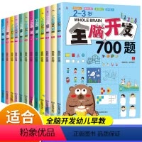 [全12册]2-6岁全脑开发思维训练 [正版]时光学全脑开发1200题上中下全3册幼儿早教智力潜能开发3-4-5-6岁左