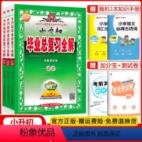 小升初 语数英套装 小学通用 [正版]科目任选金星教育2024小升初系统总复习语文数学英语科学全套小学生毕业总复习全解六