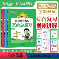 [系统总复习共3本]语文+数学+英语 全国版 小学升初中 [正版]2024春小学毕业升学升初一系统总复习语文数学英语科学