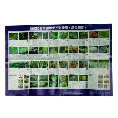 [N]蔬菜病害诊断手记系列挂图(瓜类蔬菜)-161095789