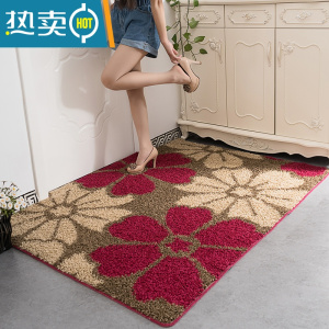 敬平入户门前进门地垫家用大门口地毯门垫玄关客厅门厅脚垫防滑垫定制 华丽风情