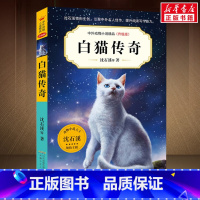 白猫传奇 [正版]白猫传奇 第七辑 沈石溪动物小说全集中外精品小学生三年级四年级课外书10-12-15周岁小学生课外阅读