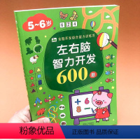 [正版]左右脑智力开发600题5-6岁全脑开发综合能力训练书阶梯数学思维训练宝宝左右脑开发幼儿园大班早教启蒙阅读书籍宝