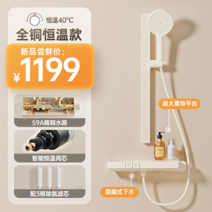 雨虹飞鱼淋浴花洒套装全铜冷热恒温花洒家用卫生间淋浴喷头手持花洒头 恒温款-奶白