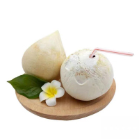 [西沛生鲜]海南牛奶椰皇 2个装中果 单果500-750g 新鲜椰子 当季热带水果 汁水充沛