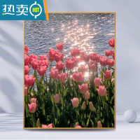 敬平数字油画diy填充油彩画简单手工涂色丙烯画减压卧室装饰画郁金香装饰画