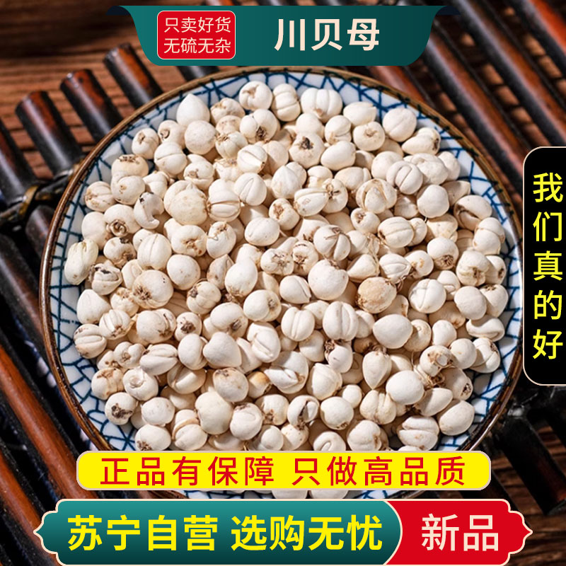 甄选贝母川贝粒100克干干货正品无硫四川阿坝川贝四川贝母新货