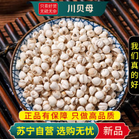 甄选贝母川贝粒100克干干货正品无硫四川阿坝川贝四川贝母新货