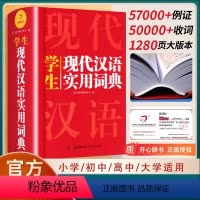 [2本]现代汉语词典+成语大词典 [正版]2024年新编现代汉语词典人教版1-3-6年级小学生初中生高中生全国通用现代汉